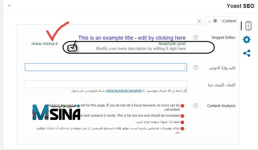 Yoast SEO Msina 7